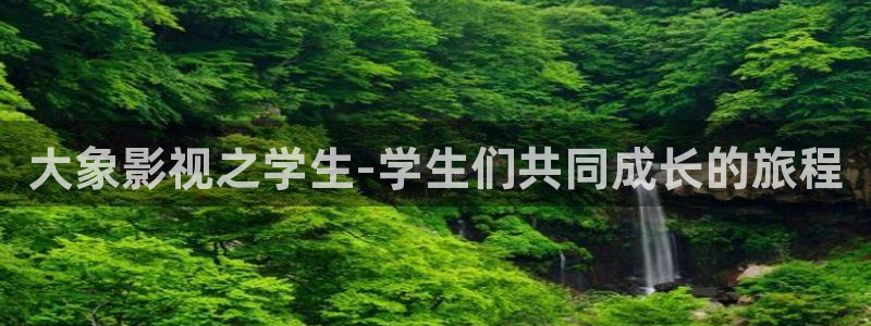 樱花视频黄色